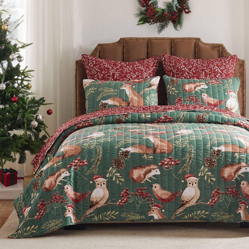 Barefoot Bungalow Willow Reversible Quilt Set