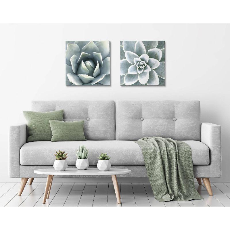 Union Rustic " Soft Botanical Succulents " by The Creative Bunch Studio 2 - Pieces