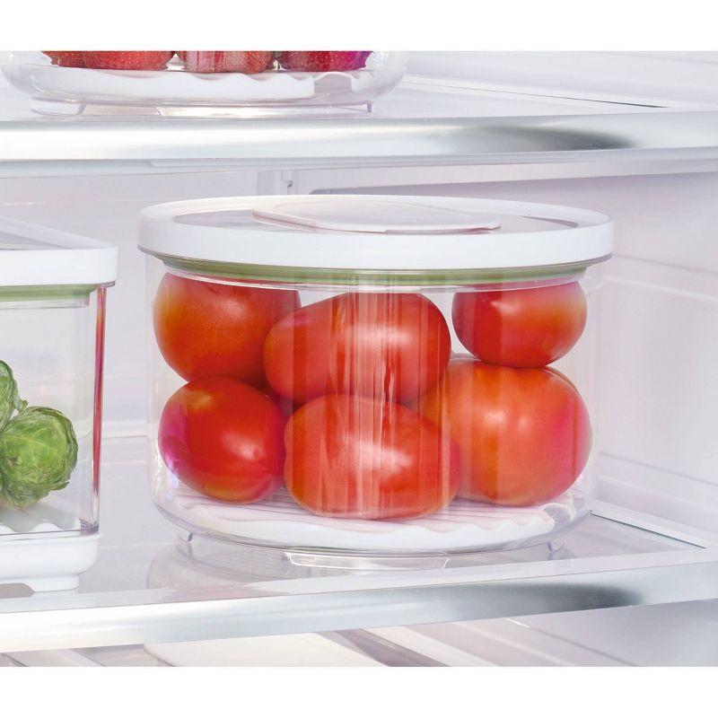 iDesign iDesign ID FRESH BPA-Free Recycled Plastic Produce Storage Bowl, Large