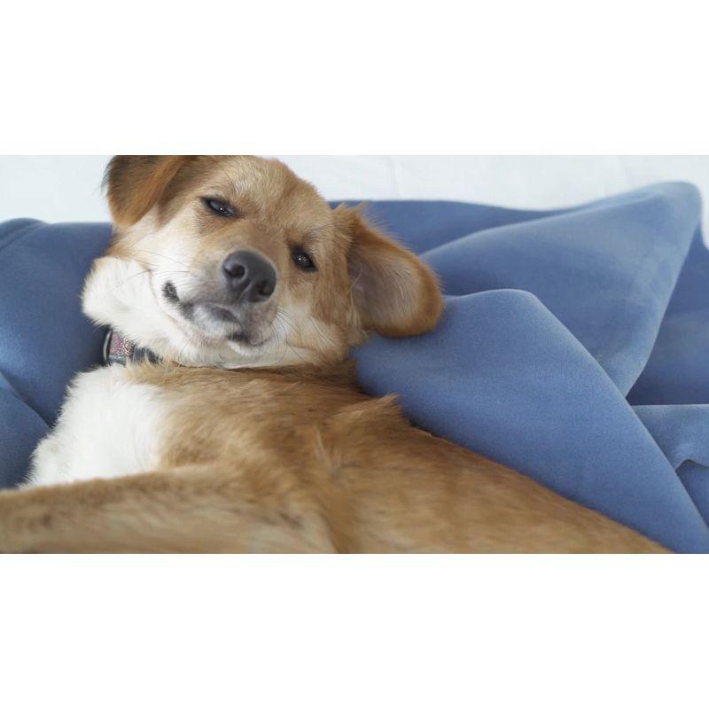 Throw Blanket, Original Blanket,  Snuggle-Ready,  Durable Machine Washable Pet Friendly, All-Season Comfort, Layering Bed Sofa Blanket, Blanket for Bed, Cozy Throw Blanket