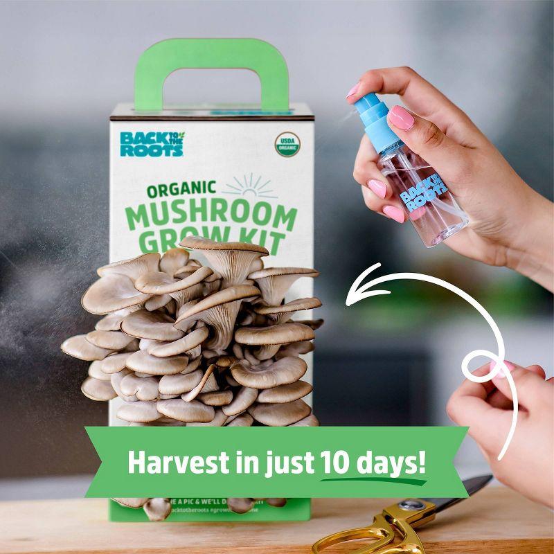 Back to the Roots  Organic Mushroom Grow Kit