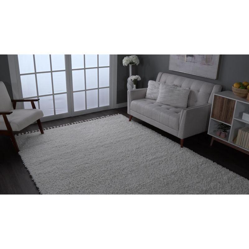 Cozy Beige Braided Tassel Shag Area Rug - Easy Care 3'x5'