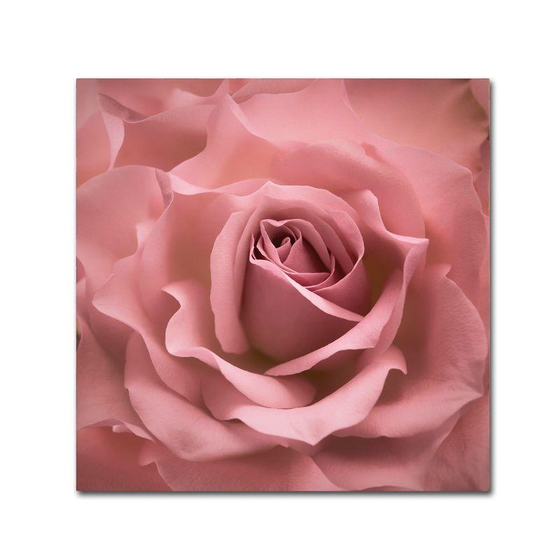 House of Hampton® " Misty Rose Pink Rose " by Cora Niele