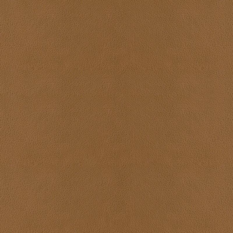 Rectangular Allure Modern Blended Leather Ottoman Caramel Brown/Chrome - Studio Designs Home