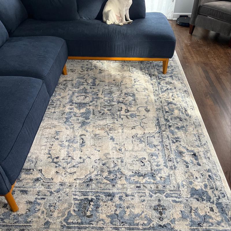 Charleston CHL411 Loomed Indoor Area Rug - Ivory/Navy - 8'x10' - Safavieh