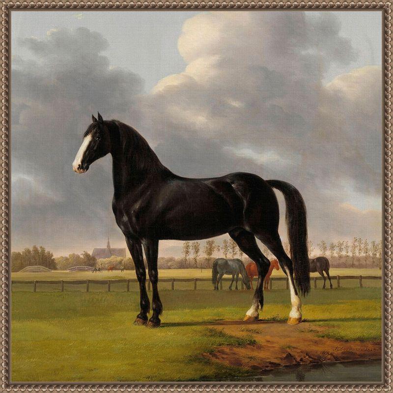 Majestic Black Horse Framed Canvas Wall Art, 22 x 22 Inches