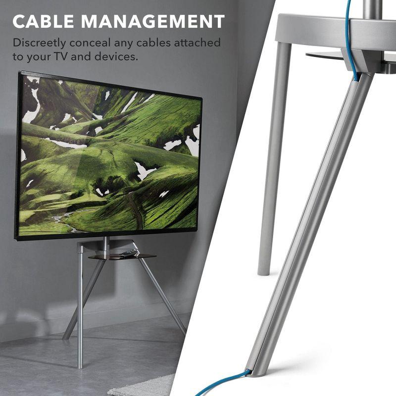 Mount-It Easel TV Stand & Portable TV Tripod Holds up to 88 Pounds and Fits 43 - 65 Inch Screens