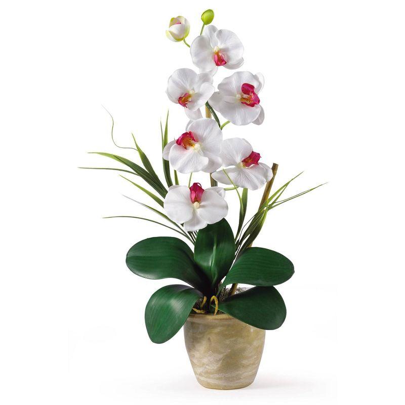 Nearly Natural Phalaenopsis Silk Orchid Flower Arrangement, Dark Pink