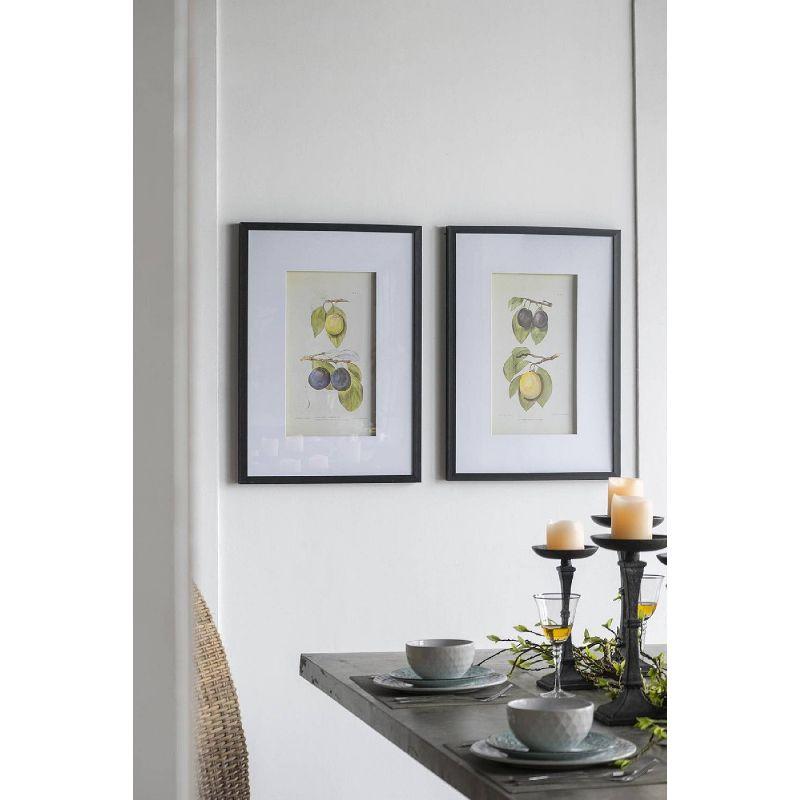 Set of 2 Smithsonian Fruit Framed Wall Arts - A&B Home: Transitional Decor, Vertical Orientation, Includes Mounting Hardware