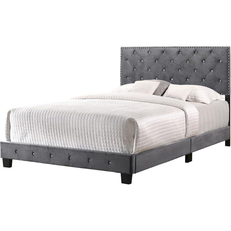 Suffolk Queen Bed with Tufted Velvet Upholstery and Nailhead Trim in Gray