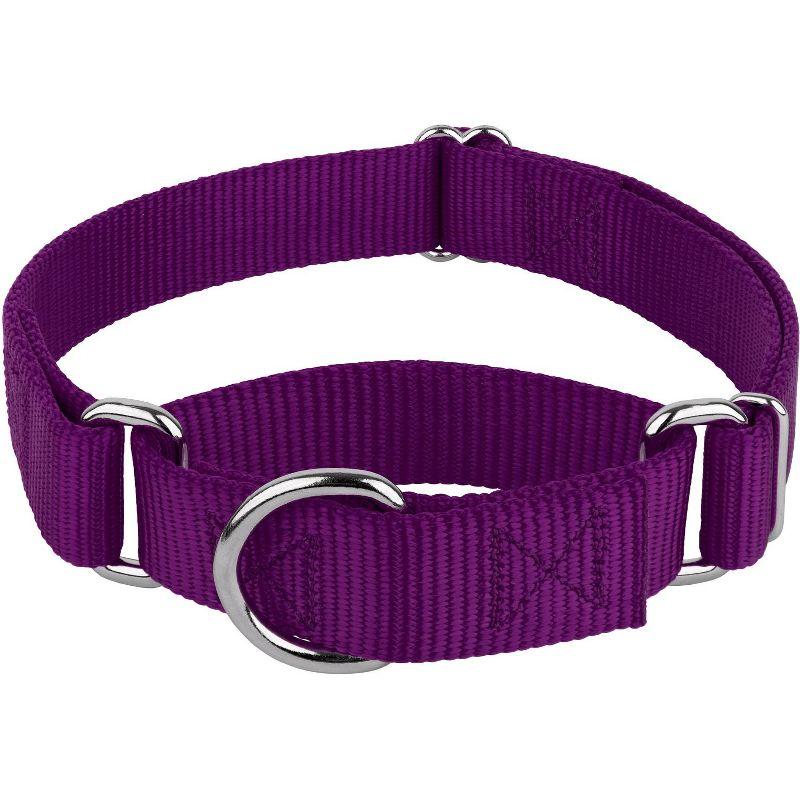 Country Brook Design Martingale Heavyduty Nylon Dog Collar