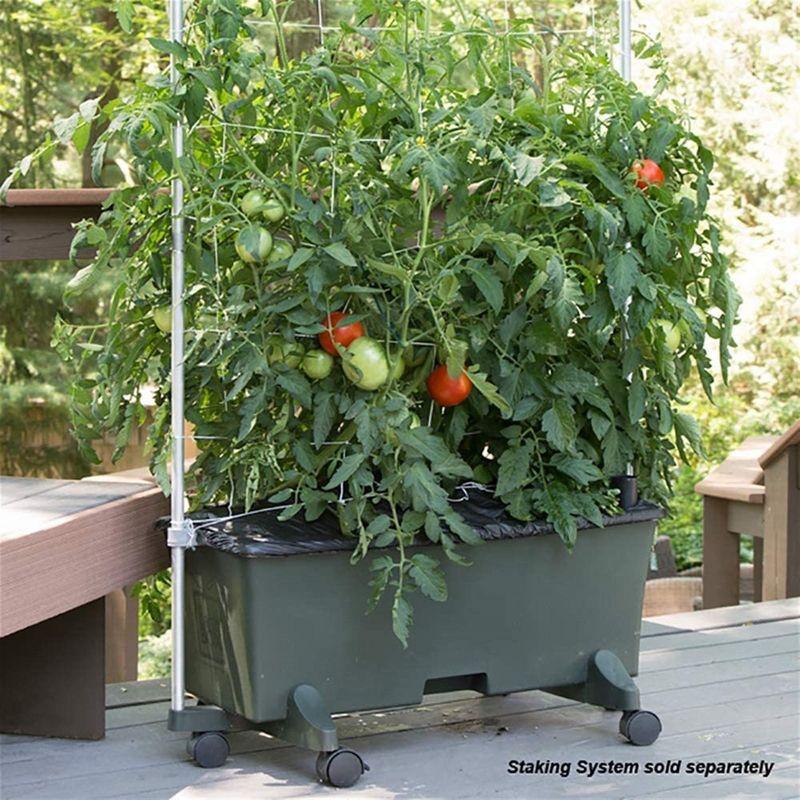 Novelty EarthBox Beginner Friendly, Self-Watering Growing System Garden Kit, Natural, Dark Green