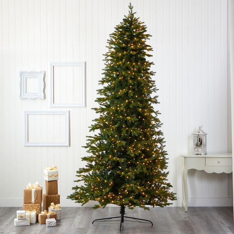 Nearly Natural 10-ft Belgium Fir Natural Look Artificial Christmas Tree with 1050 Clear LED Lights