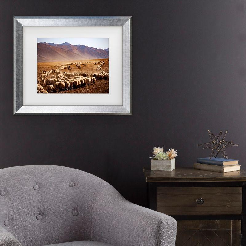 Murat Cacim Silver Framed Desert Sheep Canvas Print