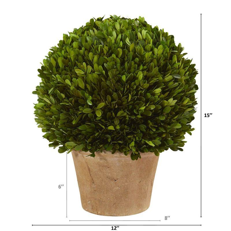 Nearly Natural 15-in Boxwood Ball Preserved Plant in Planter