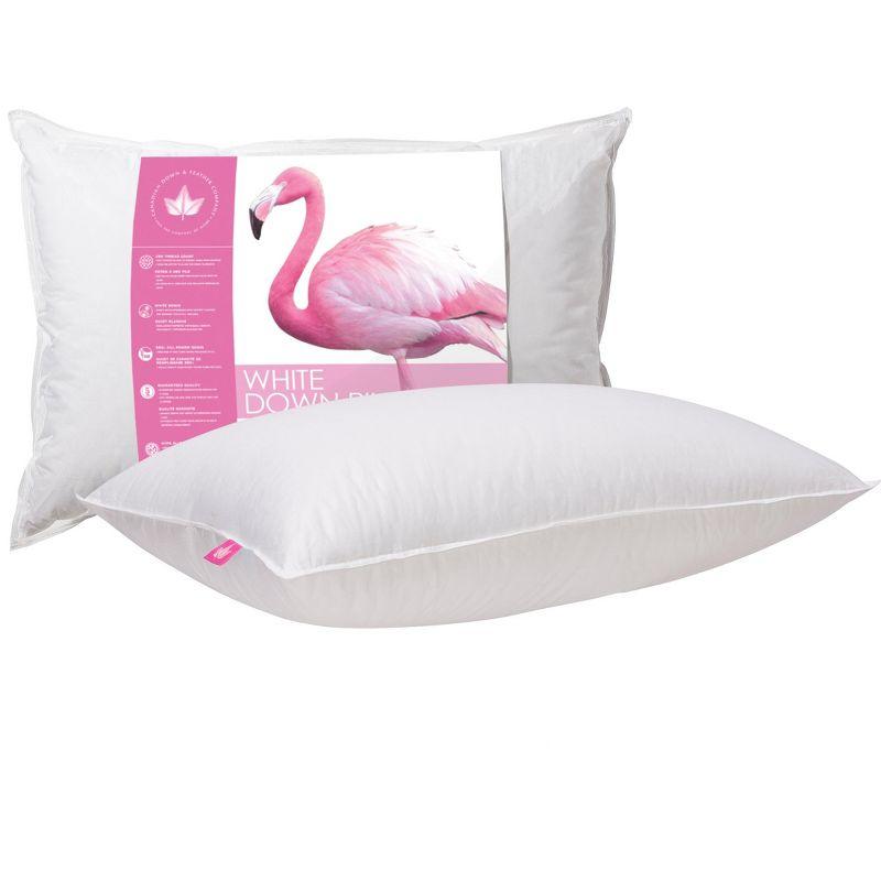 Canadian Down & Feather Company Down Medium Pillow