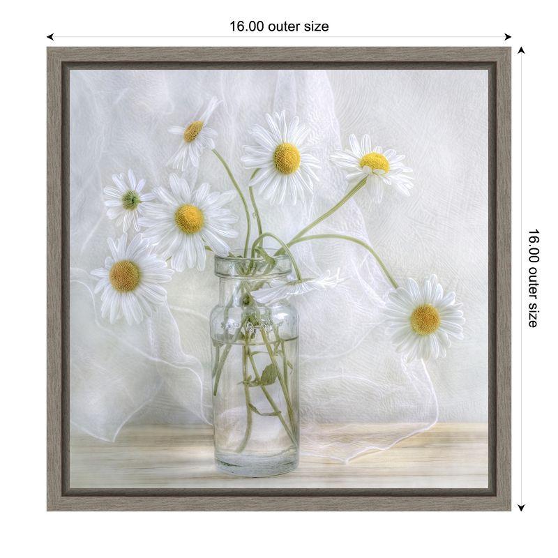 Amanti Art Daisies by Mandy Disher Canvas Wall Art Print Framed 16 x 16-in.