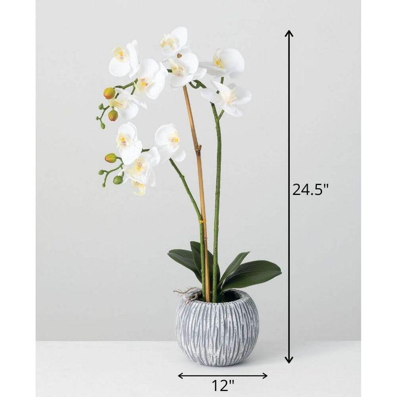 Sullivans Artificial 24.5" Potted Orchid