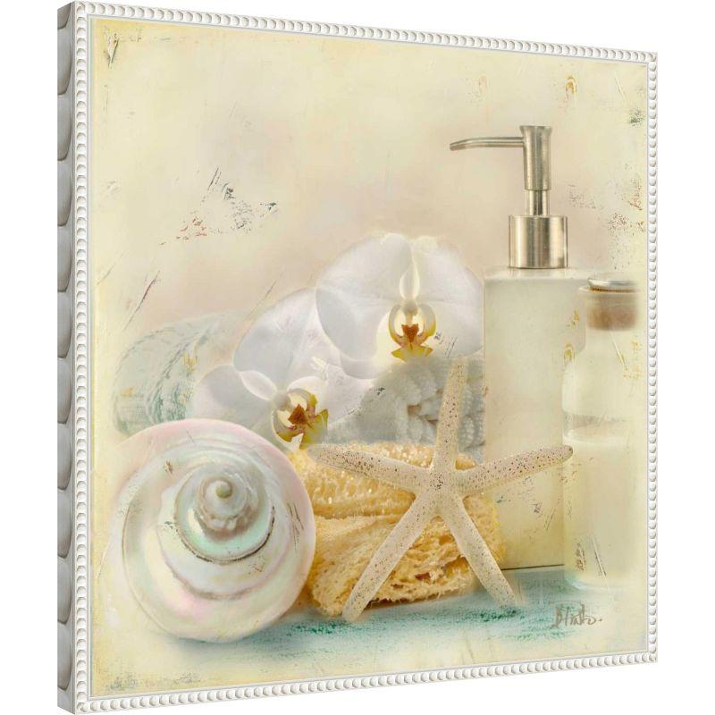 Amanti Art Silver Bath II by Patricia Pinto Framed Canvas Wall Art