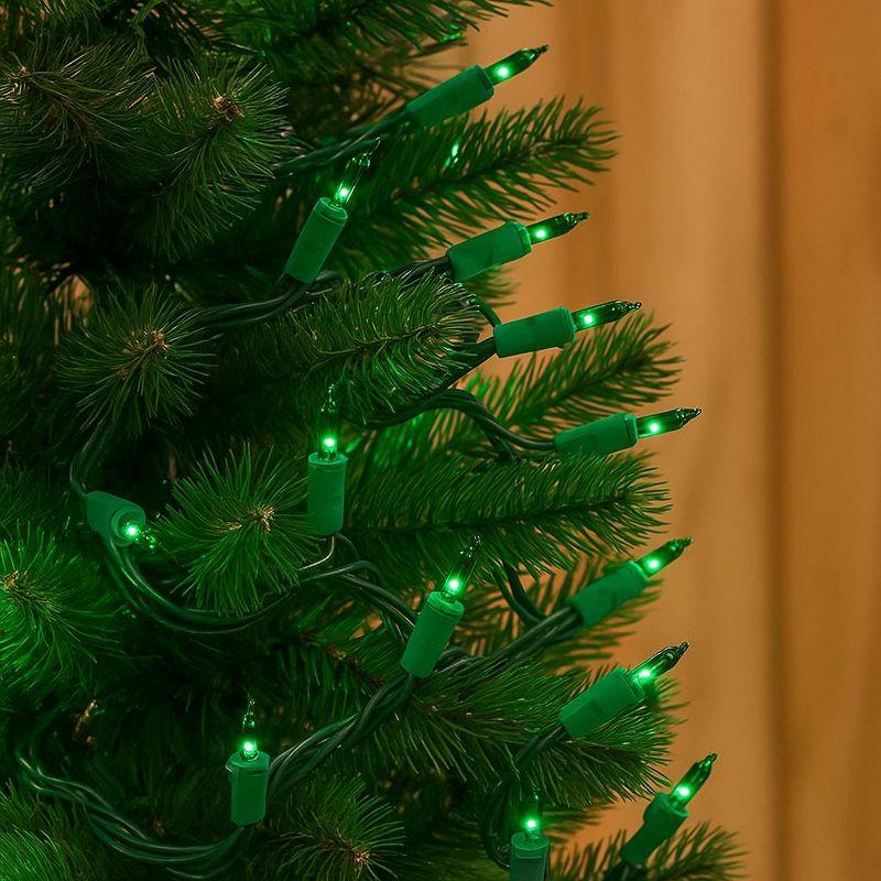 Novelty Lights 11 Feet 50 Bulbs Incandescent Mini Lights, Green on Green Wire with 2.5" Spacing, UL Listed for Indoor/Outdoor Use, Connectable