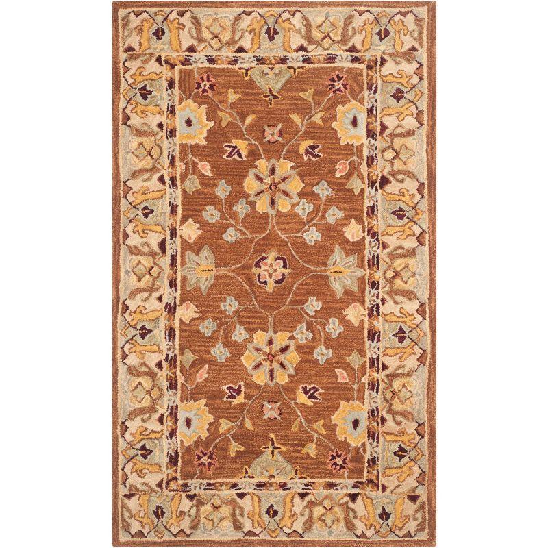 Anatolia AN562 Hand Tufted Indoor Accent Rug - Tan/Ivory - 3'x5' - Safavieh
