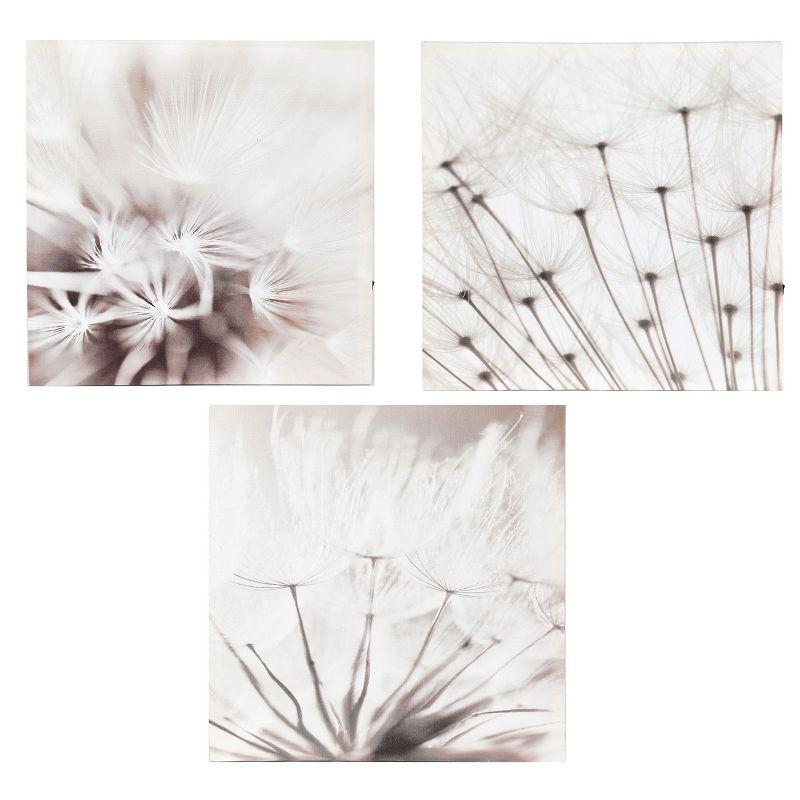 Set of 3 Lighted Dandelion Canvas Prints with Fir Wood Frame