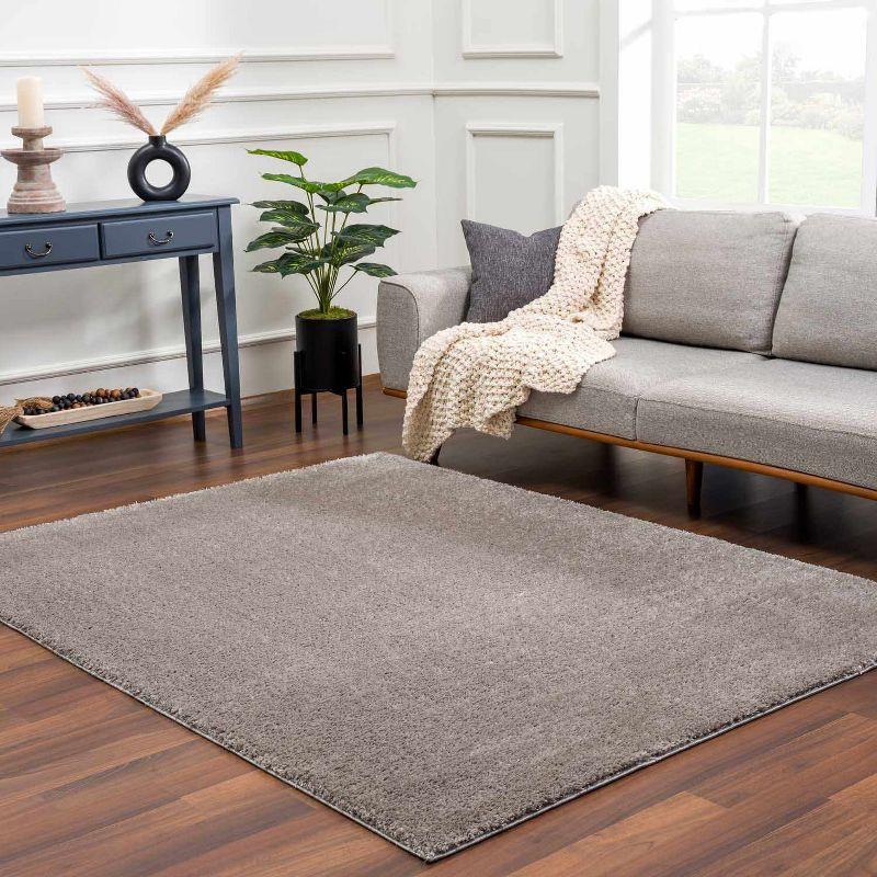 Hauteloom Rectangle Area Rug  Gray