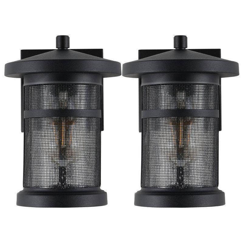 Osprey Iron Wall Light