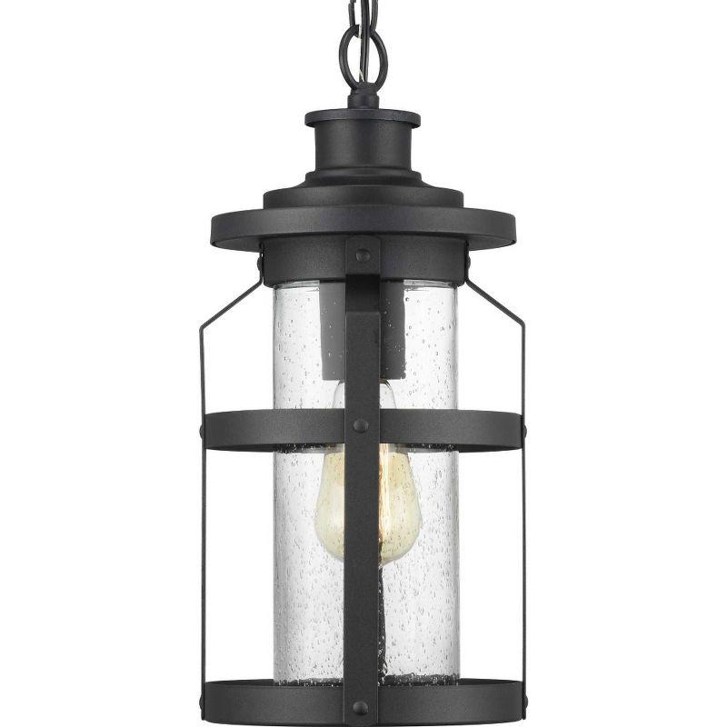 Progress Lighting Haslett 1-Light Outdoor Hanging Lantern in Black with Clear Seeded Glass