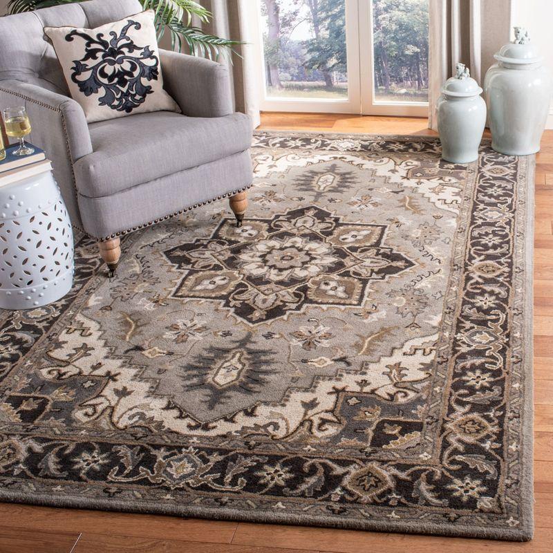 Royalty ROY700 Hand Tufted Indoor Area Rug - 6'x9' - Silver/Charcoal - Safavieh