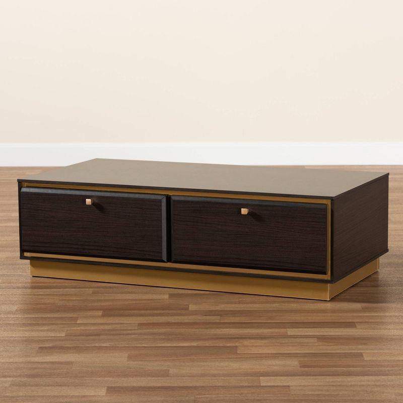 Modern Glamour Dark Brown Wood and Gold Metal Storage Coffee Table