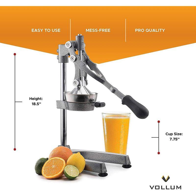 Gray Stainless Steel Manual Citrus Juicer with Non-Skid Base