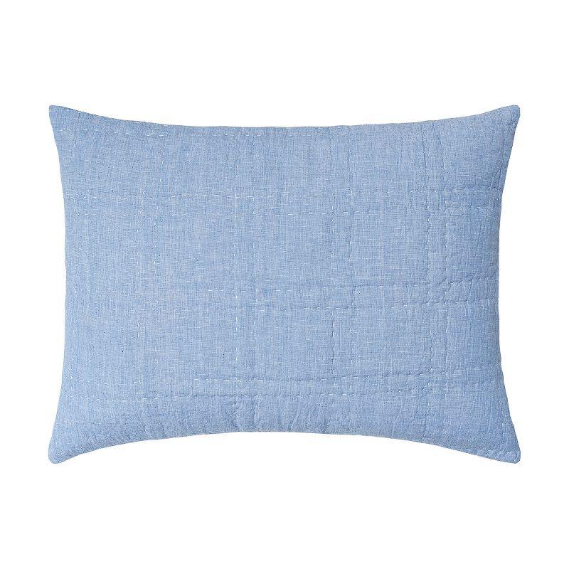 Light Blue Cotton Embroidered Euro Sham