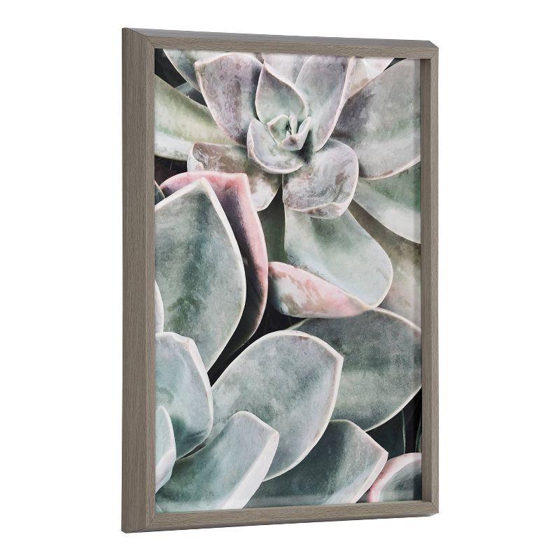 18" x 24" Blake Botanical Succulent Plants 1 by Creative Bunch Studio: Modern Wall Decor Art - Kate & Laurel All Things Decor