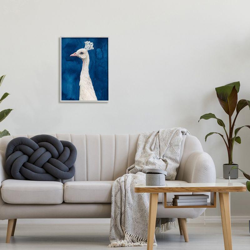 Stupell Industries " Gorgeous Royal Blue White Feathers Peacock Portrait " by Grace Popp