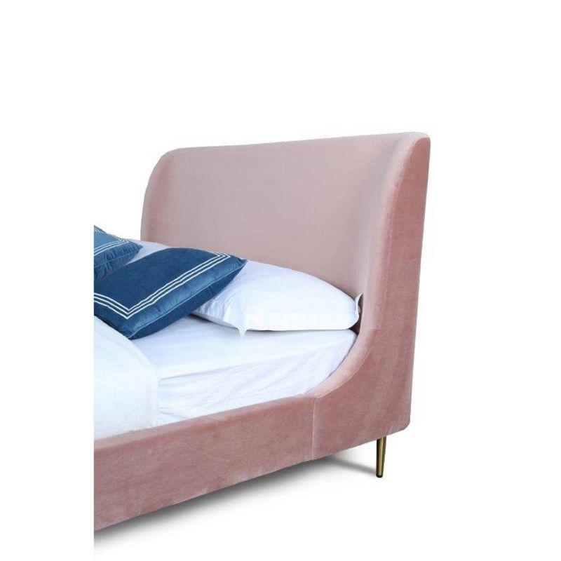 Blush Velvet Upholstered Queen Bed with Gold Legs