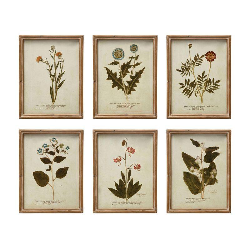 Vintage Botanical Print Set in Wood Frames, 10" x 13"