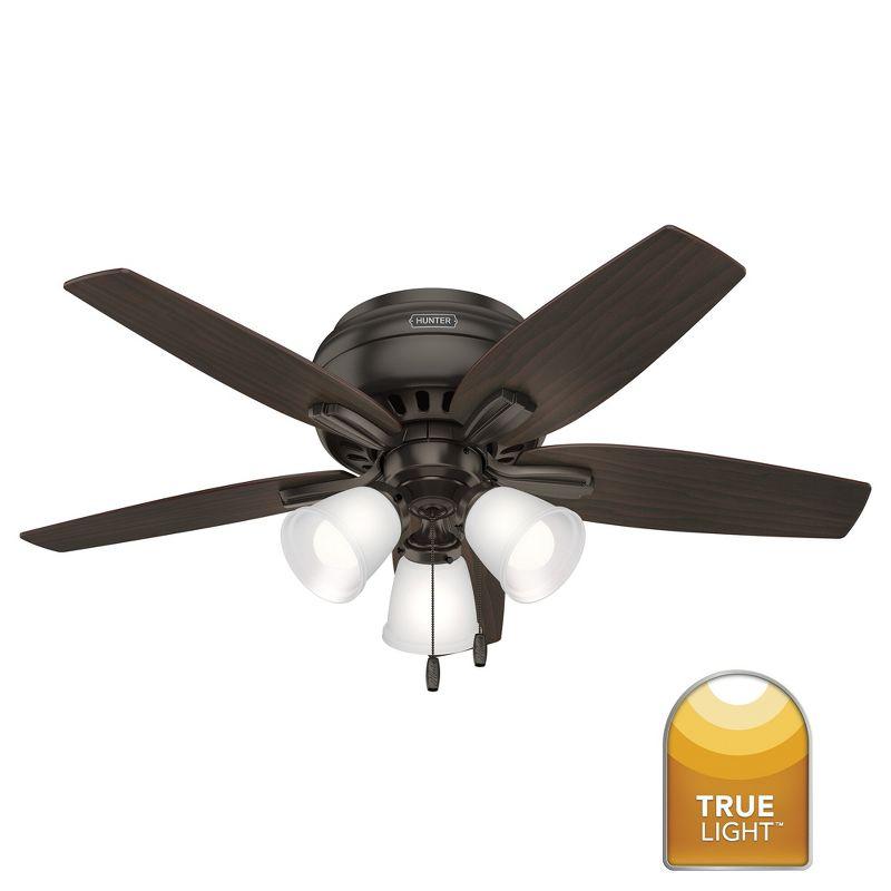 Hunter Fan Newsome 42" 5 - Blade Traditional Indoor Flush Mount Ceiling Fan with Lights and Pull Chains