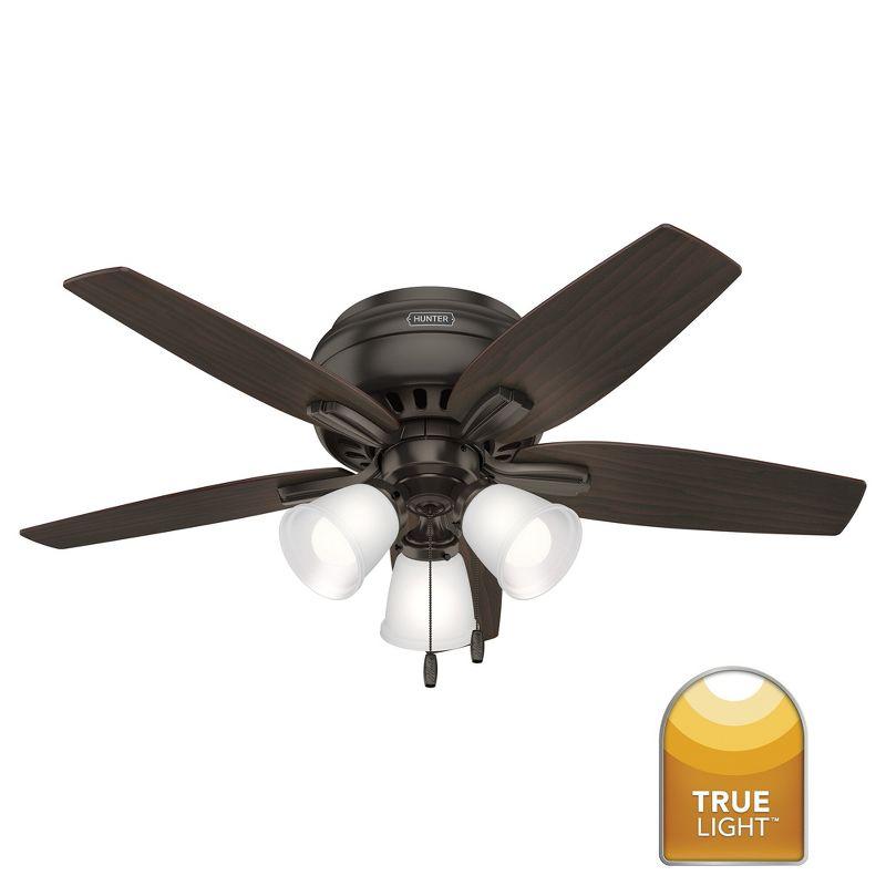 Newsome 42" 5 - Blade Flush Mount Ceiling Fan with Lights and Pull Chains