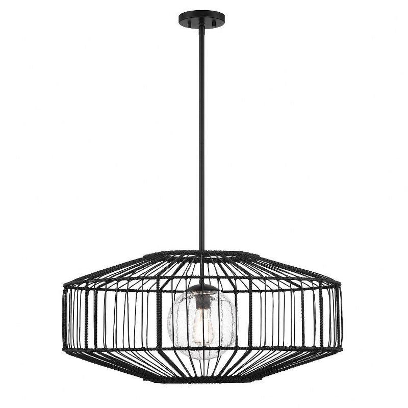 Matte Black Rattan and Glass Globe Pendant Light