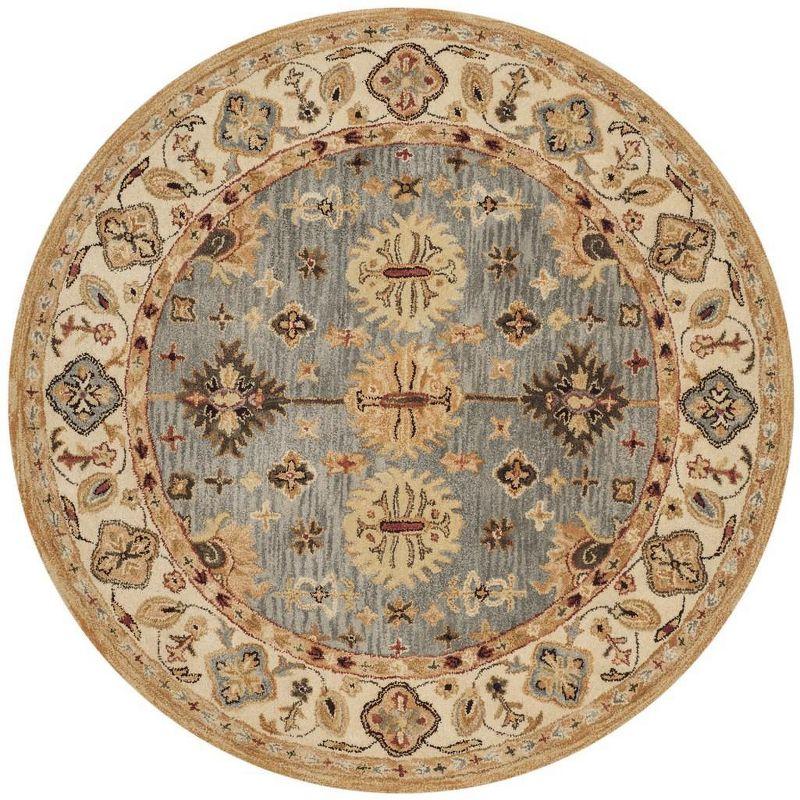 Antiquity Hand Tufted Wool Oriental Rug