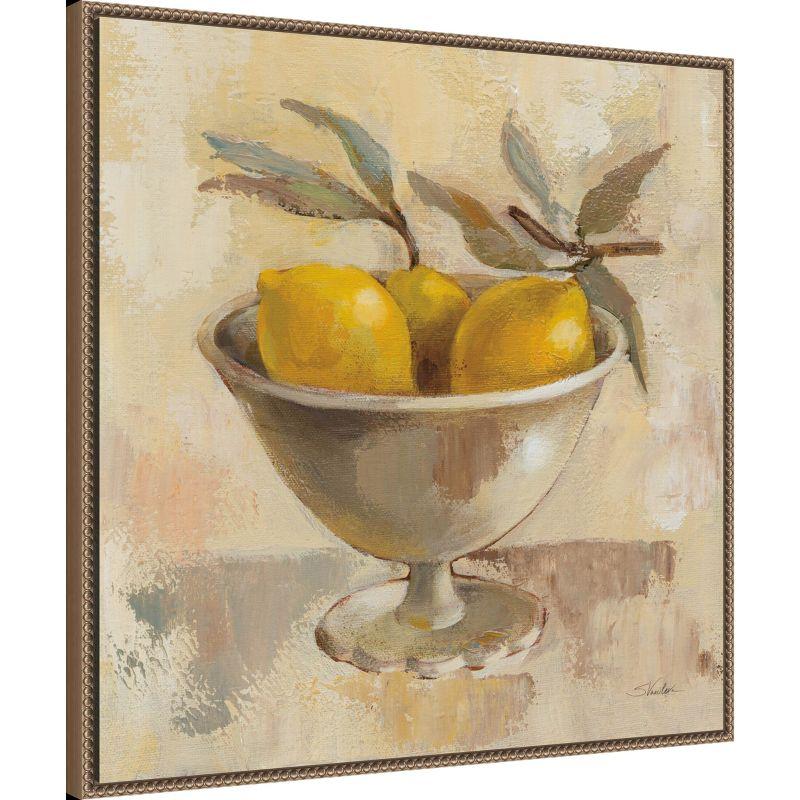 Amanti Art Fruits in Old Bowl I by Silvia Vassileva Framed Canvas Wall Art