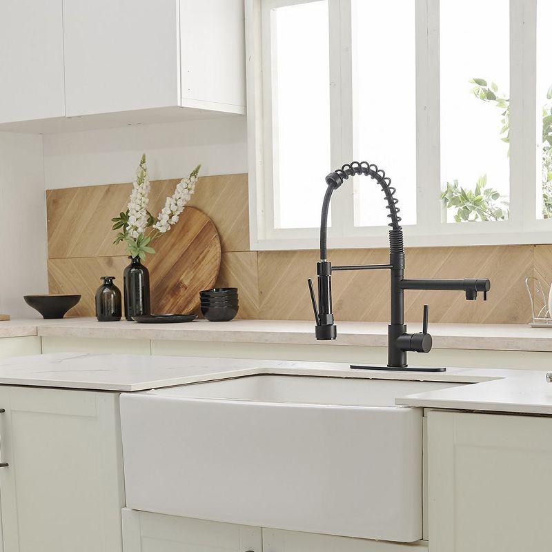 Single-Handle Pull-Down Sprayer 2 Spray High Arc Kitchen Faucet With Deck Plate