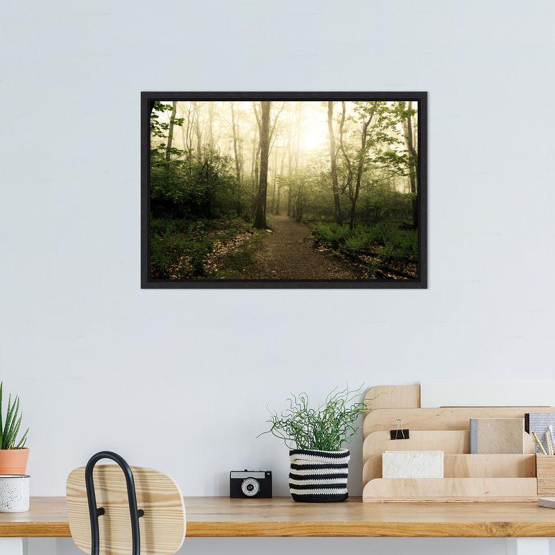 Amanti Art Appalachian Trail by Andy Magee Framed Canvas Wall Art