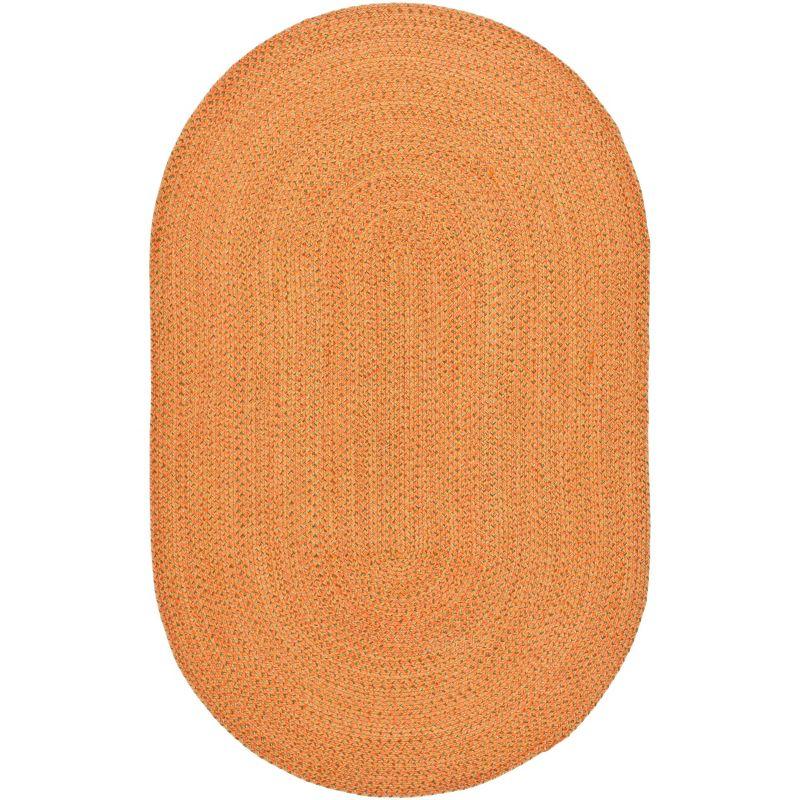 Braided BRD166 Hand Woven Indoor Area Rug - Multi - 5'x8' Oval - Safavieh