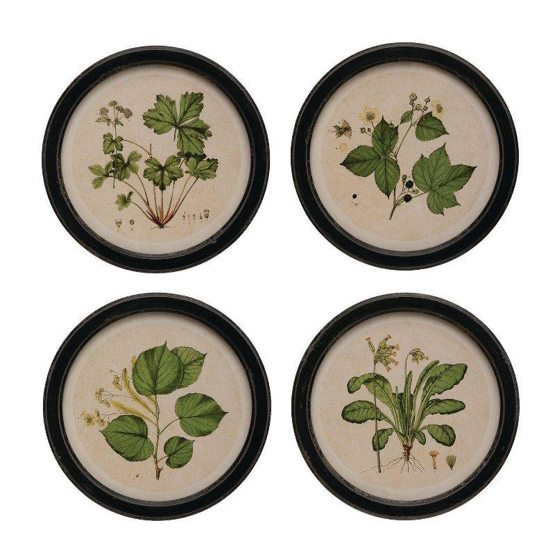 (Set of 4) 13.75" Wood Framed Wall Art Sets with Vintage Reproduction Botanical Print - Storied Home: Elegant Home Decor