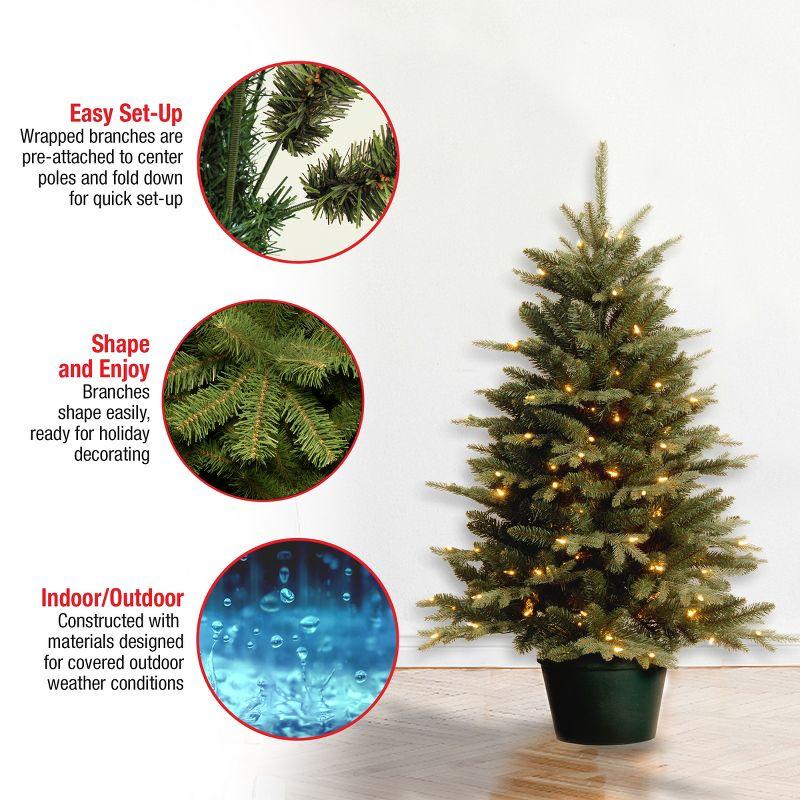 The Holiday Aisle® 3ft. Everyday Collection Potted Evergreen Tree with Clear Lights