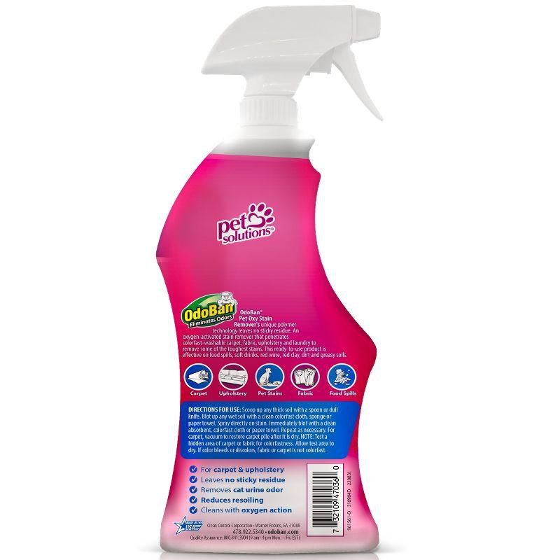 Oxy Stain Remover Spray for Pet Stains, 32 oz