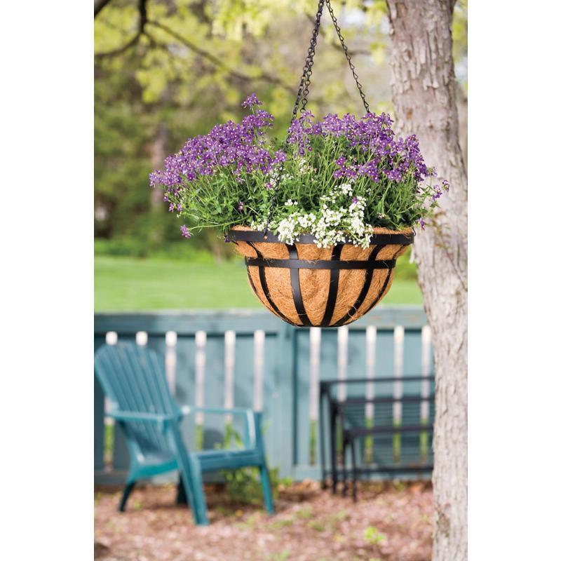 14-Inch Black Steel Round Hanging Basket with Natural Liner