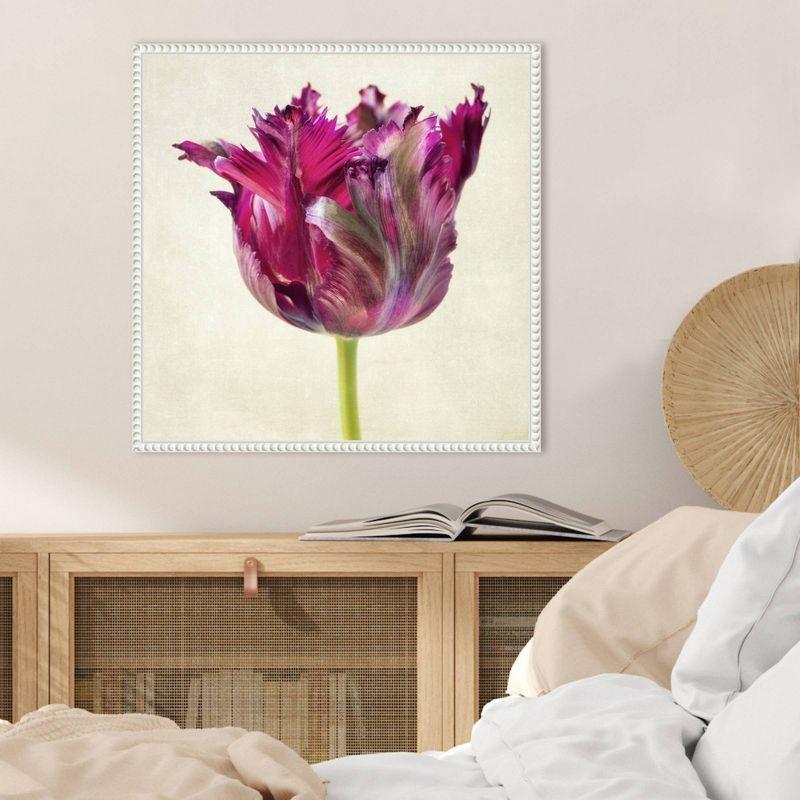 Amanti Art Single Parrot Tulip II by Dianne Poinski Framed Wall Art Print